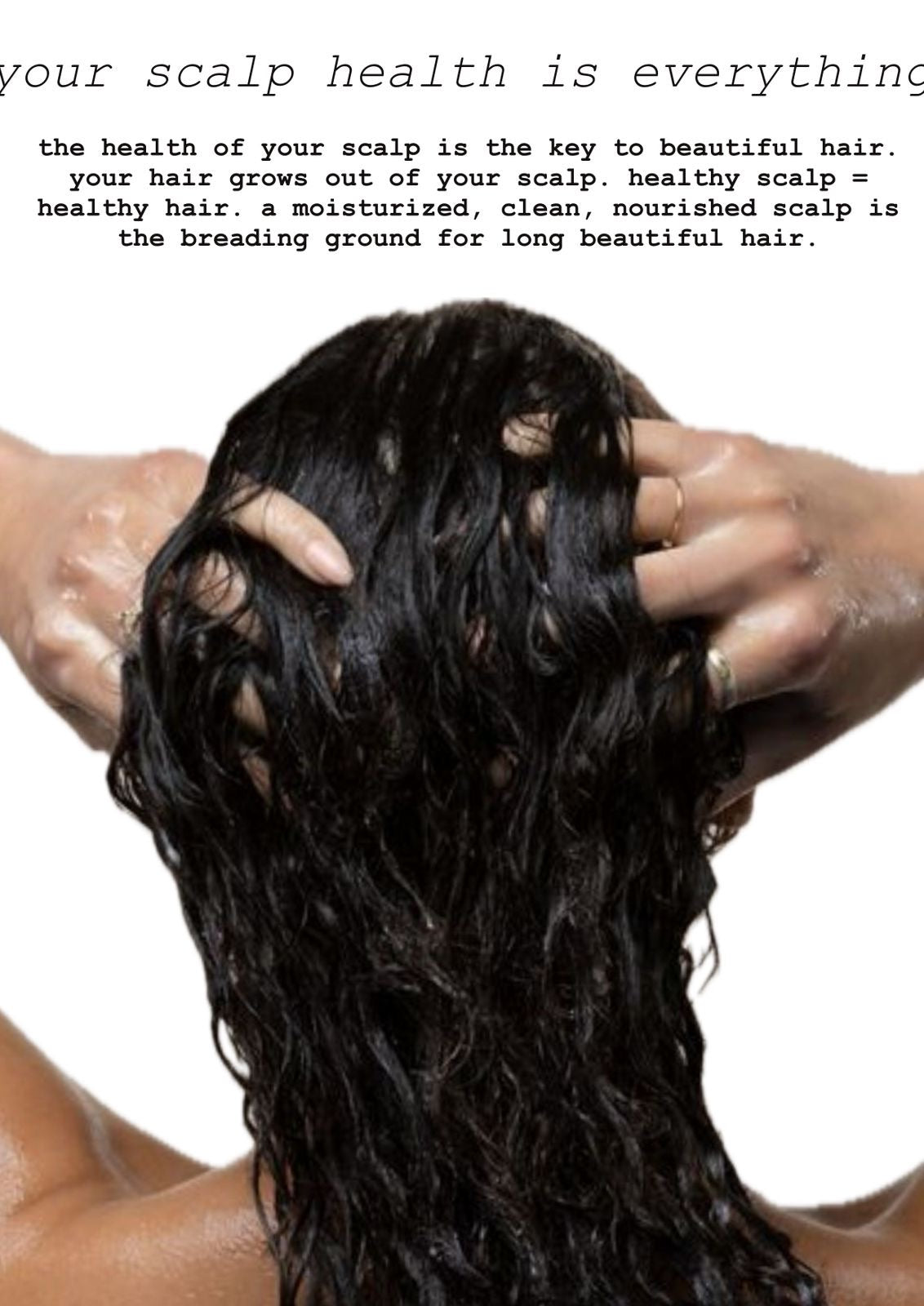 Blueberry Vanilla Rice Water